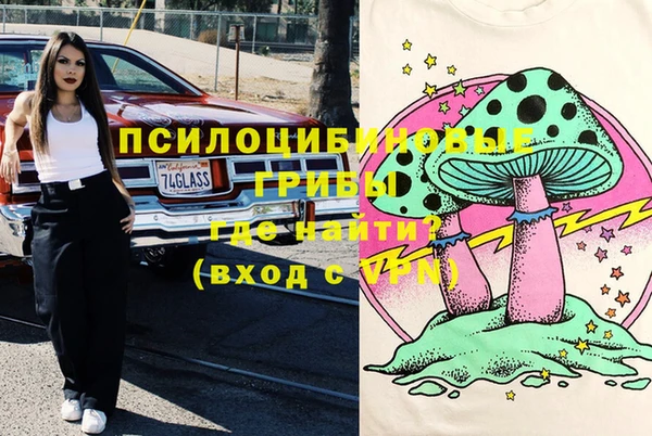 мет Алексин